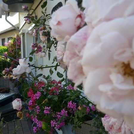 Gastehaus Rosengarten Im Nahetal Kirn Buitenkant foto